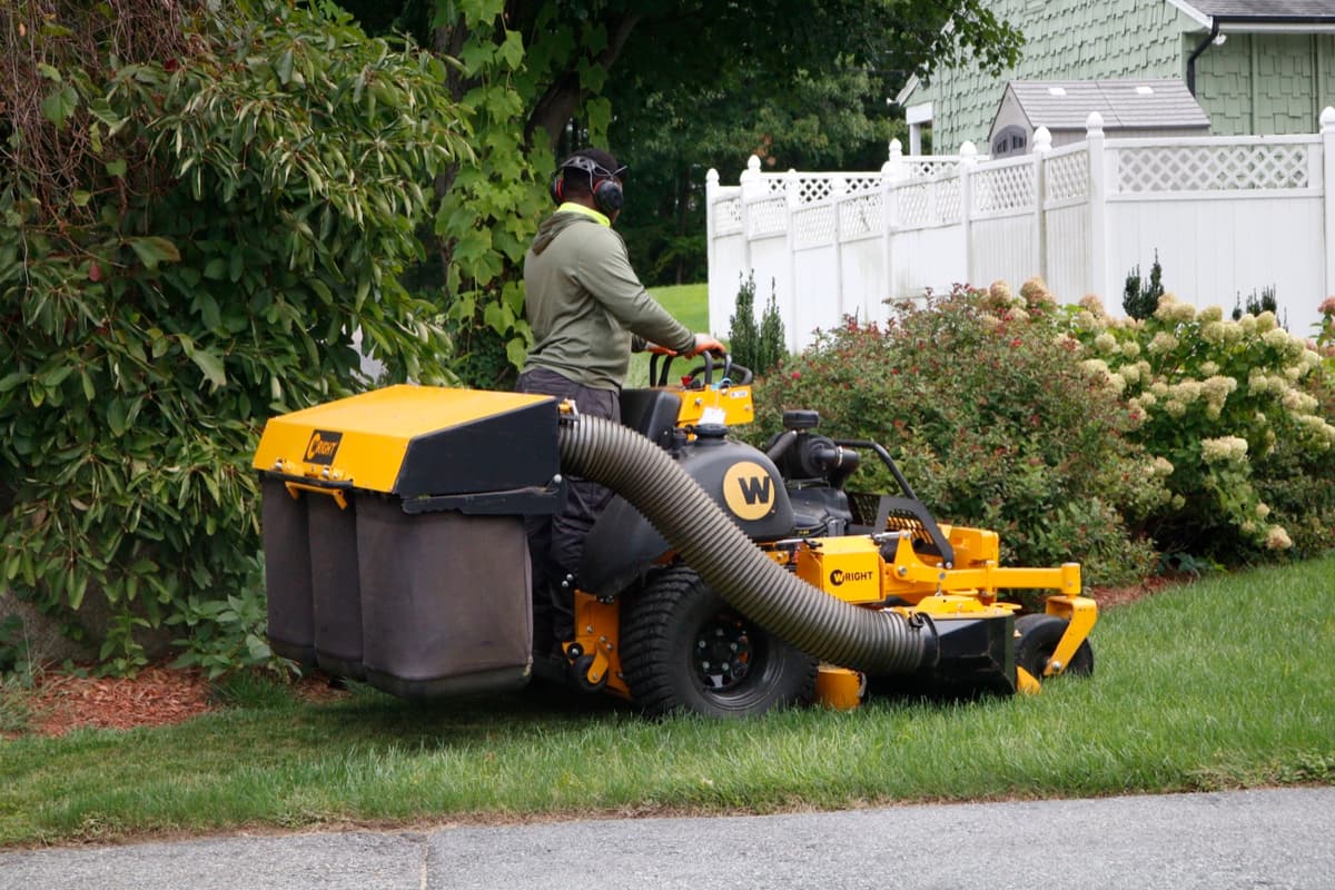 A freshly cut lawn with clean mowing stripes